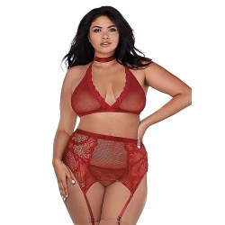 11776XRED-Q-dreamgirl-netting-blonder-red-truse-bh-sting-choker-garter-size-queen_5-750x750